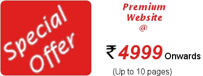 Website development delhi - special offer